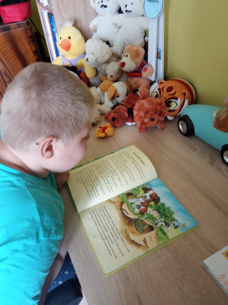 XIX Tydzie Czytania Dzieciom - Caa Polska czyta dzieciom o zwierztach