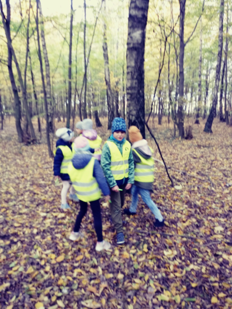 Wycieczka do lasu uczniw klas drugich