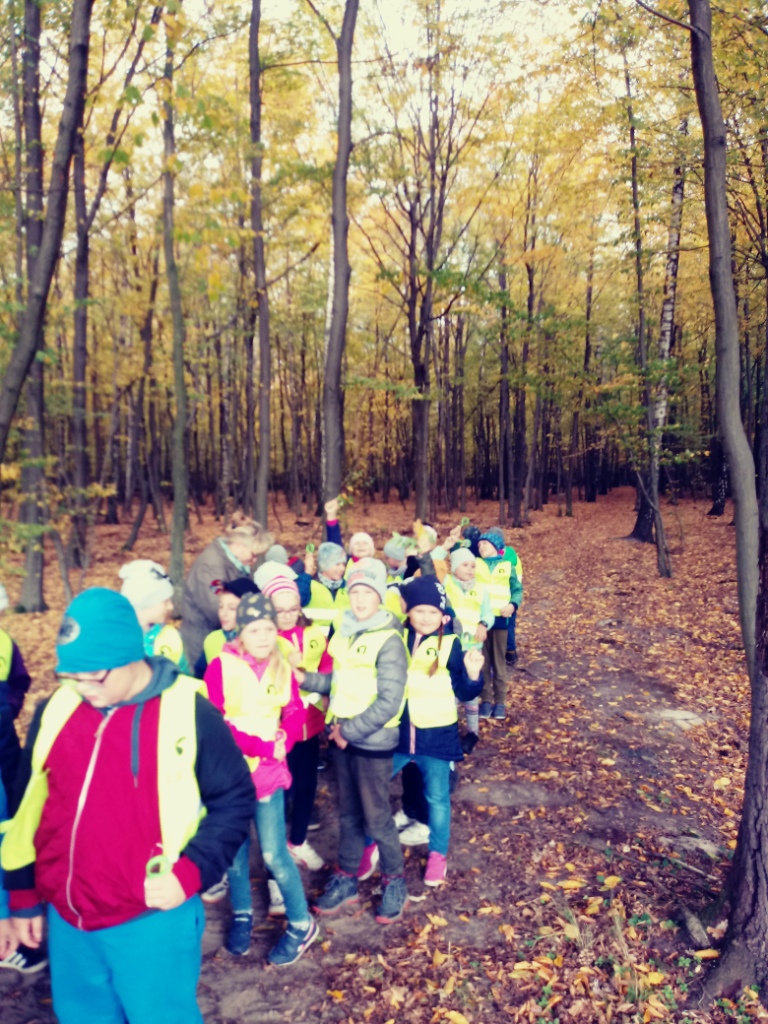Wycieczka do lasu uczniw klas drugich