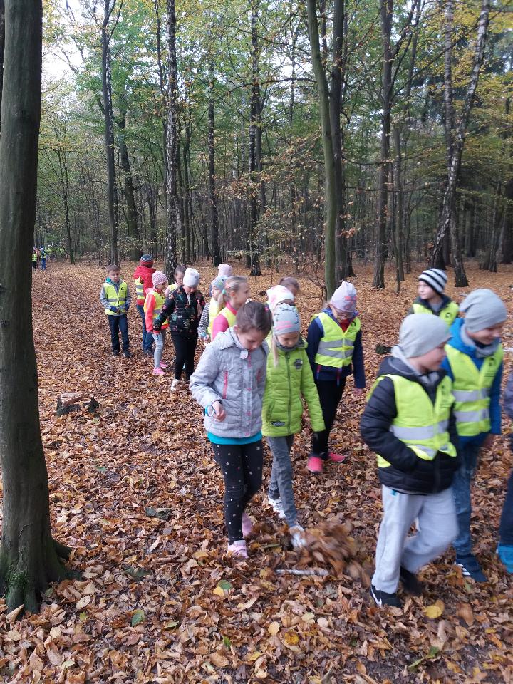 Wycieczka do lasu uczniw klas trzecich