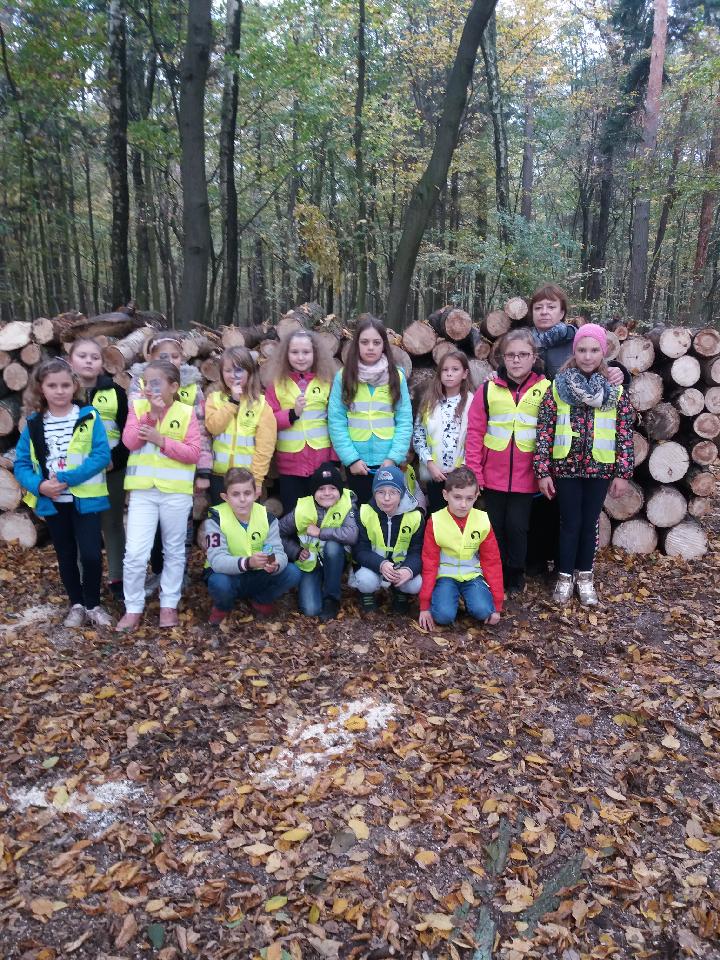 Wycieczka do lasu uczniw klas trzecich