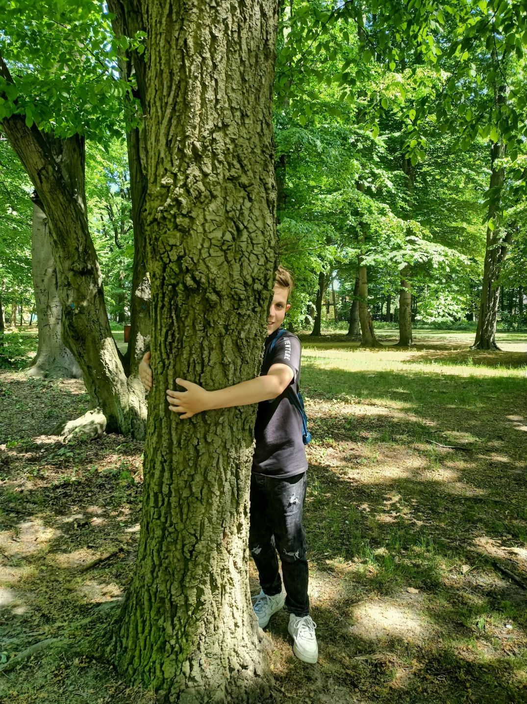 Akcja Przytul si do drzewa