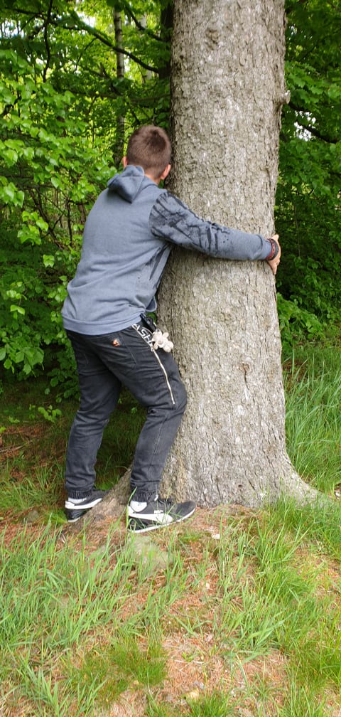 Akcja Przytul si do drzewa
